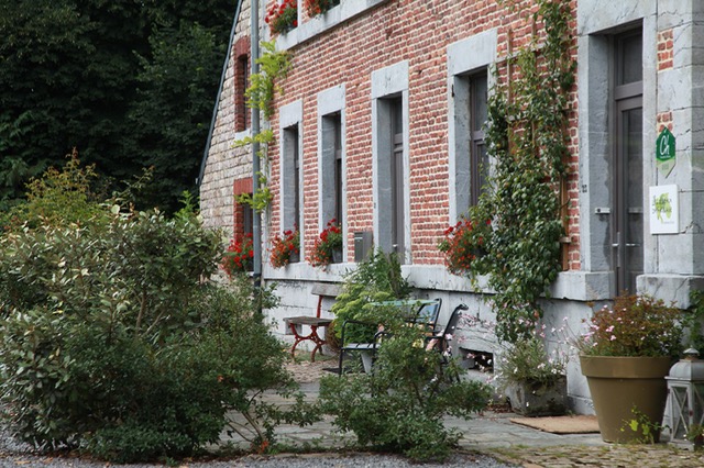 Les Oiseaux de Passage